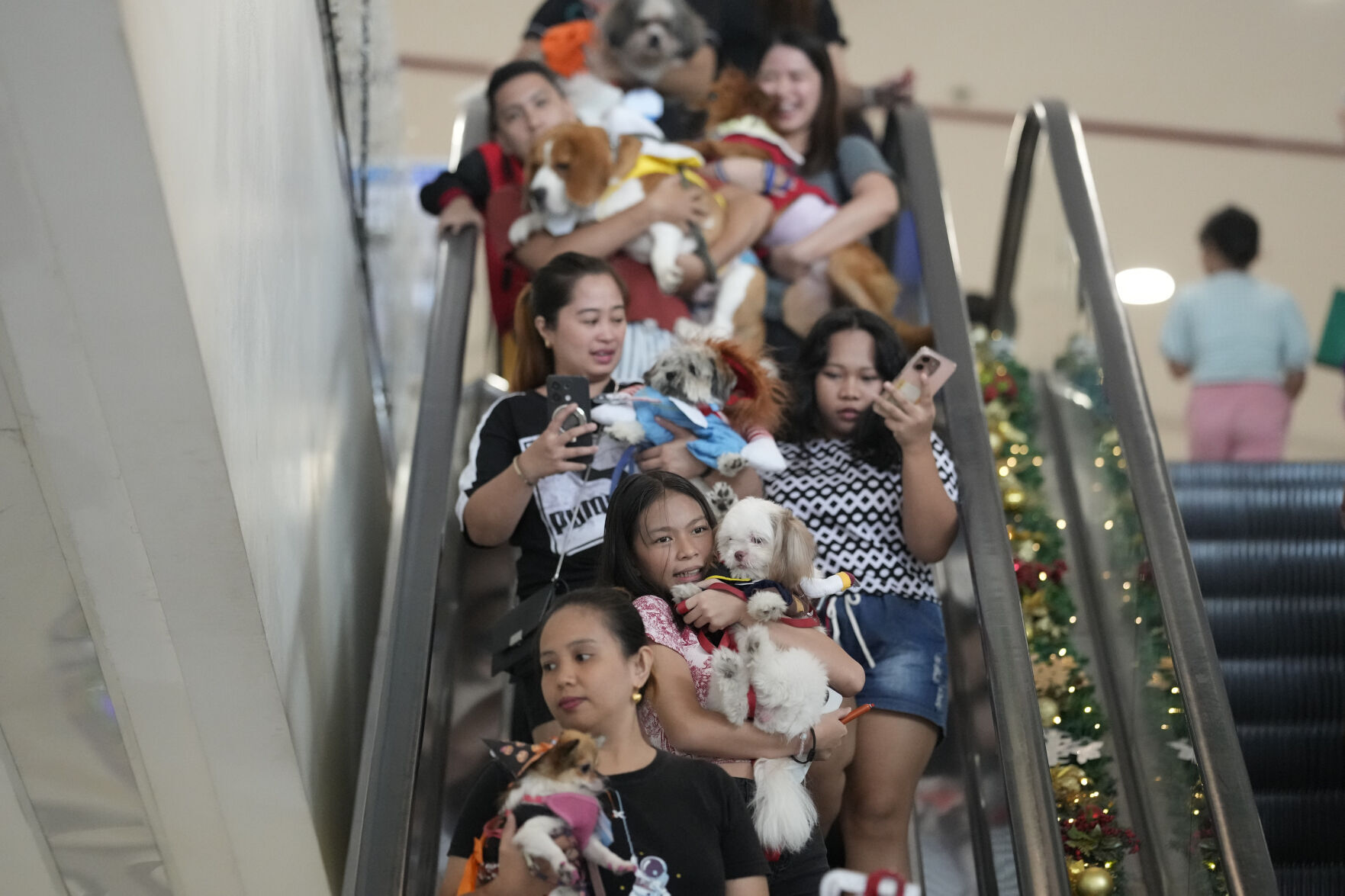 Philippines Halloween Animals
